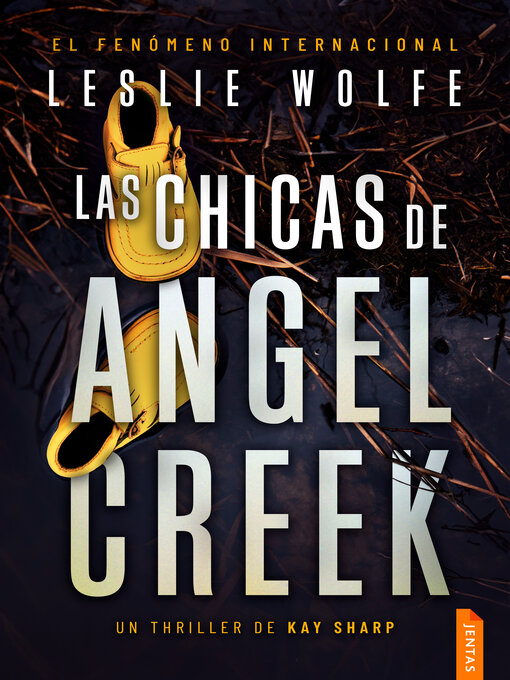 Cover image for Las chicas de Angel Creek